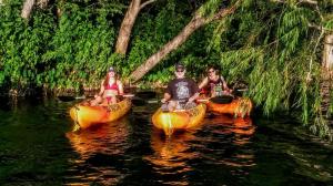 a group of people riding on the back of a boat in the water